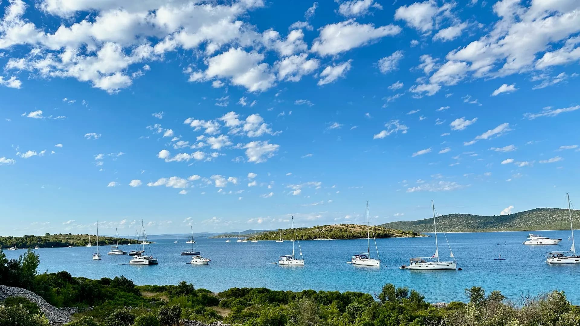 Many sailboats anchored in a wide bay — pooling resources